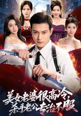 美女老婆很高冷，杀手老公专治不服封面