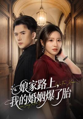 娘家路上,我的婚姻爆了胎封面